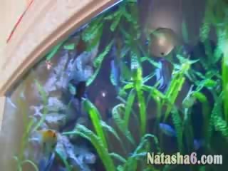 Menonton saya menyumbatkan jari faraj pada yang aquarium